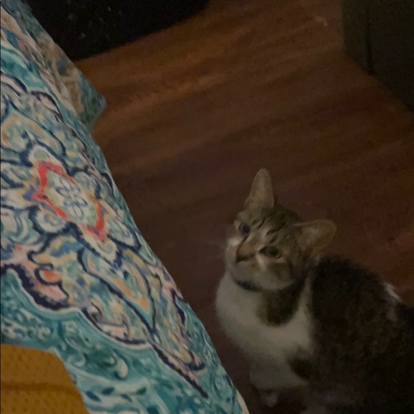 Meet your Posher, Christopher - Picture 1 of 1